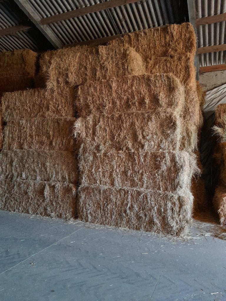 Grote balen hooi, Dieren en Toebehoren, Ophalen of Verzenden, Vee