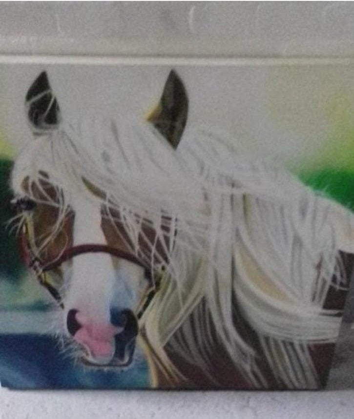 Paardenhoofd, Antiek en Kunst, Ophalen of Verzenden