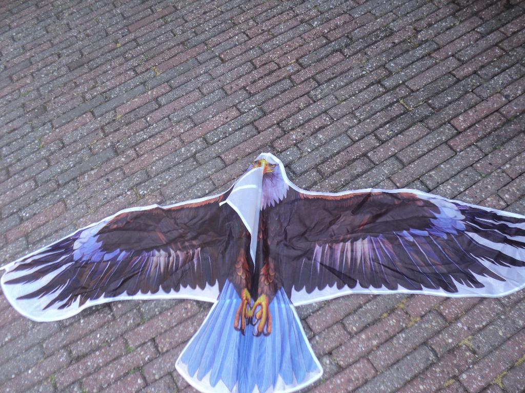 vlieger, Ophalen of Verzenden, Zo goed als nieuw, Eenlijns, Vlieger