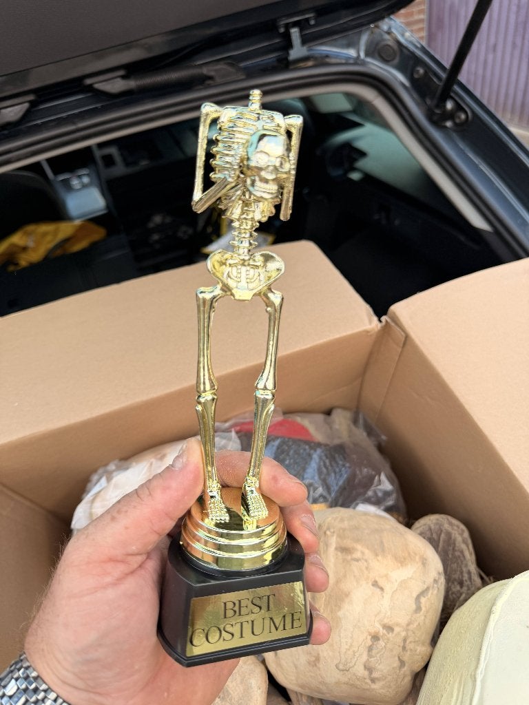 TE KOOP Grammy Best Costume, Halloween of Griezel, Nieuw, NVT, Ophalen of Verzenden