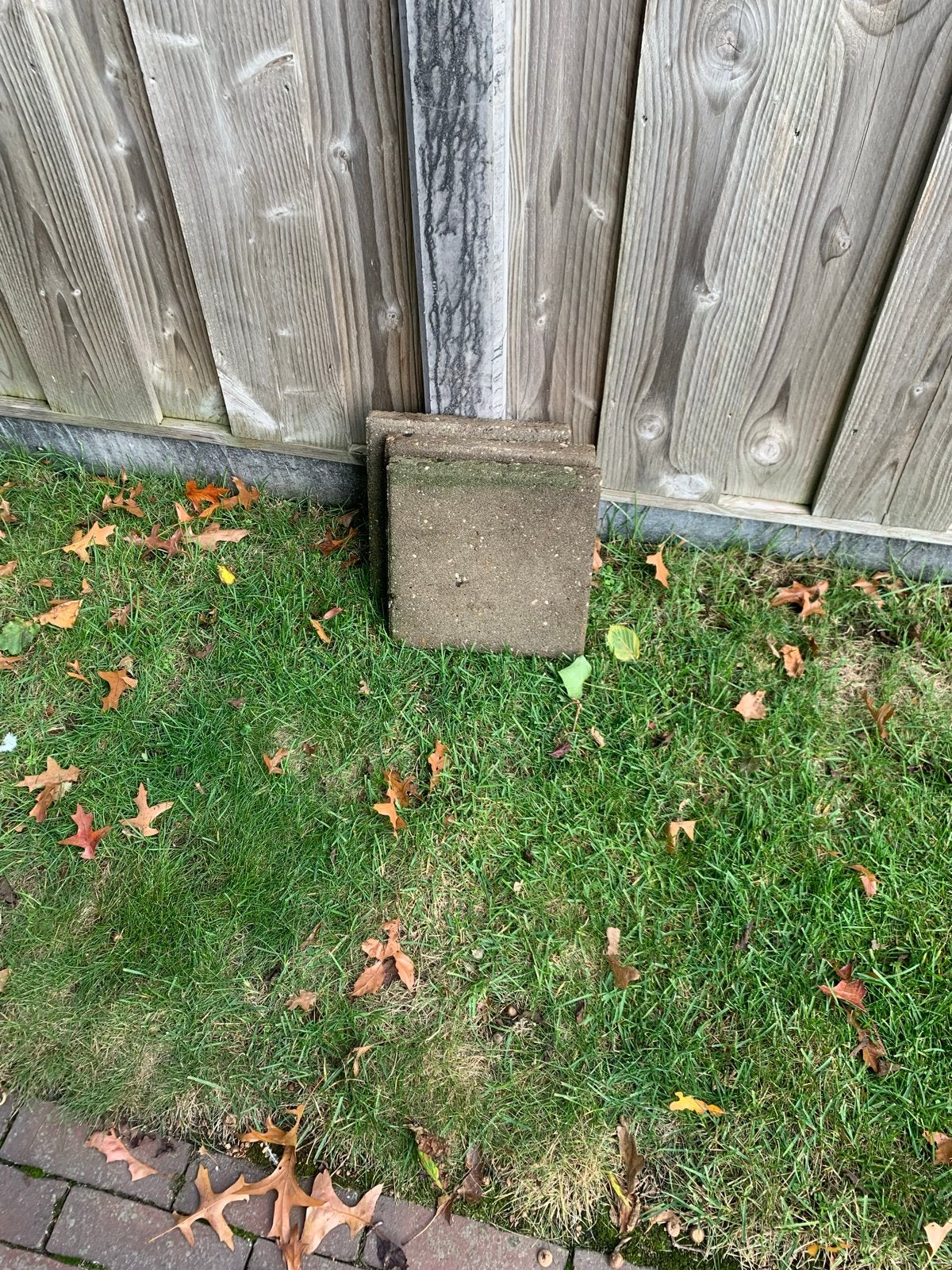 Gratis stoeptegels 30x30, Gebruikt, Ophalen of Verzenden, Minder dan 5 m², Beton