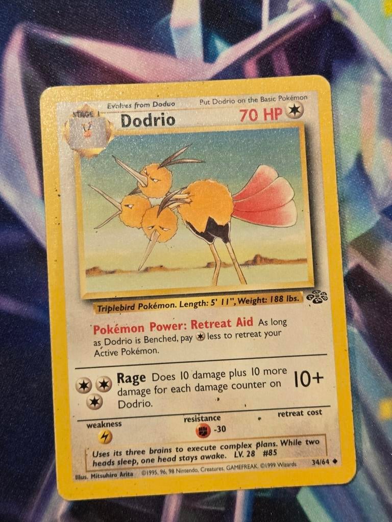 Dodrio 34/64, Ophalen of Verzenden, Zo goed als nieuw