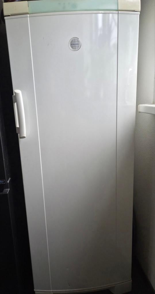 Vriezer kast, Witgoed en Apparatuur, Vriezers en Diepvrieskisten, Vrieskast, Gebruikt, Ophalen of Verzenden, 140 tot 160 cm