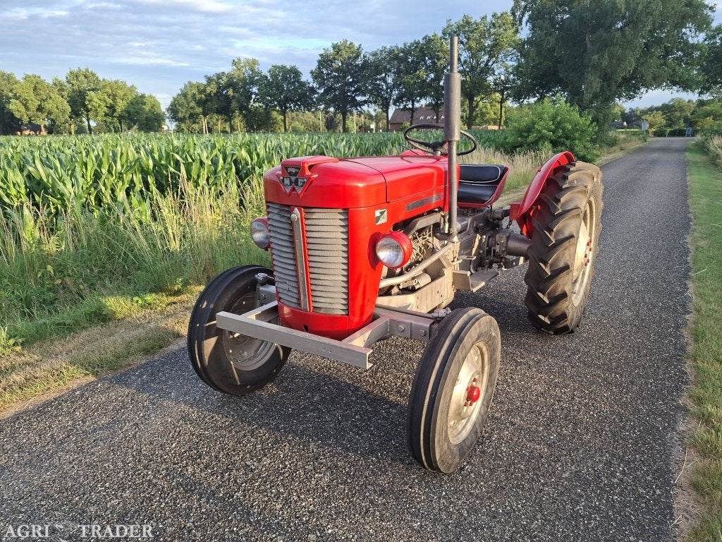 Massey Ferguson 25 | NL Kenteken | transport mogelijk, Zakelijke goederen, Agrarisch | Tractoren, 2500 tot 5000, Massey Ferguson