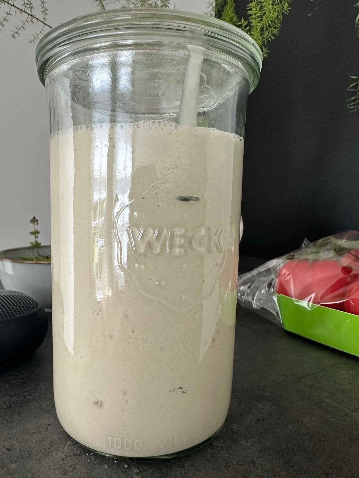 Actieve Zuurdesem Starter voor o.a. Brood, Overige typen, Ophalen, Zo goed als nieuw