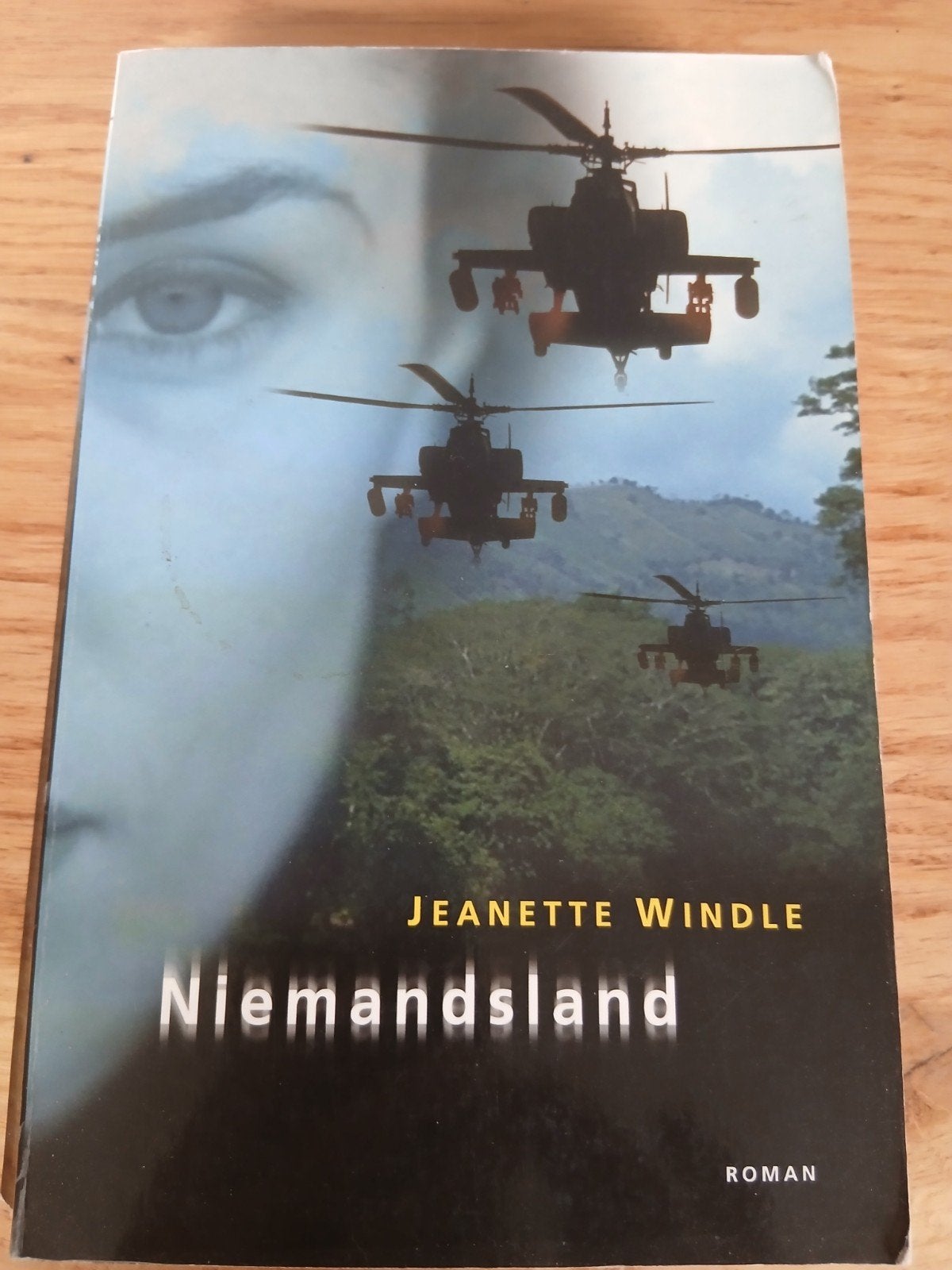 Niemandsland - Jeanette Windle (Roman), Boeken, Romans, Gelezen, Nederland, Ophalen of Verzenden