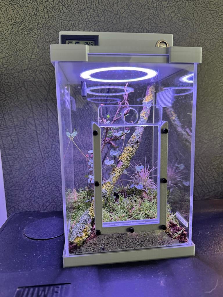 Handgemaakt Springspin Terrarium met LED Nieuw!, Dieren en Toebehoren, Insecten en Spinnen, Overige soorten