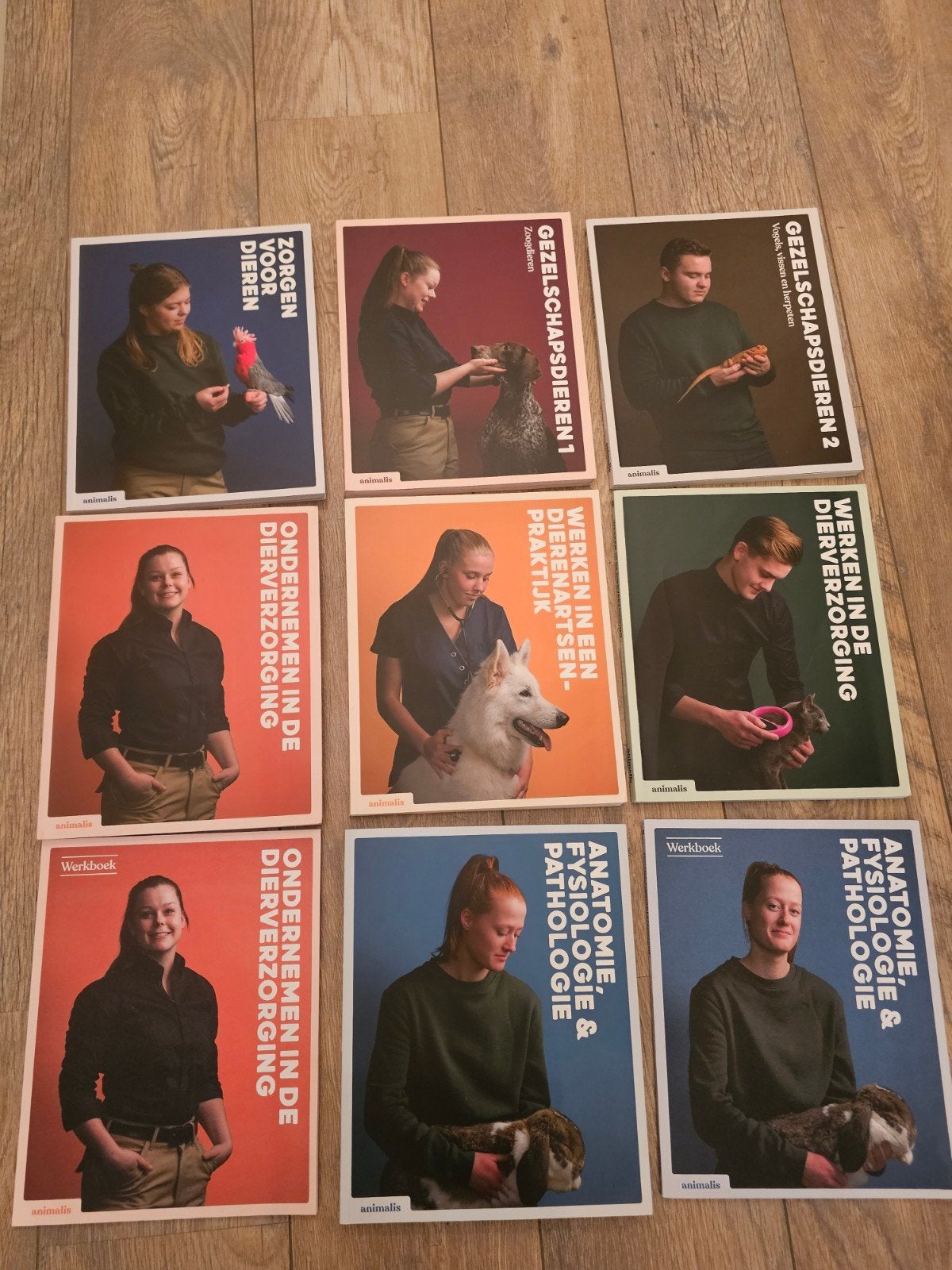 animalis boeken mbo niveau 2, 3, 4 dierverzorging, Ophalen of Verzenden, Beta, Zo goed als nieuw, MBO
