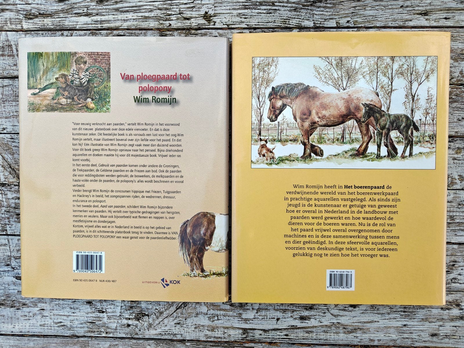 2 Grote prentenboeken van Wim Romijn., Boeken, Ophalen of Verzenden, Zo goed als nieuw