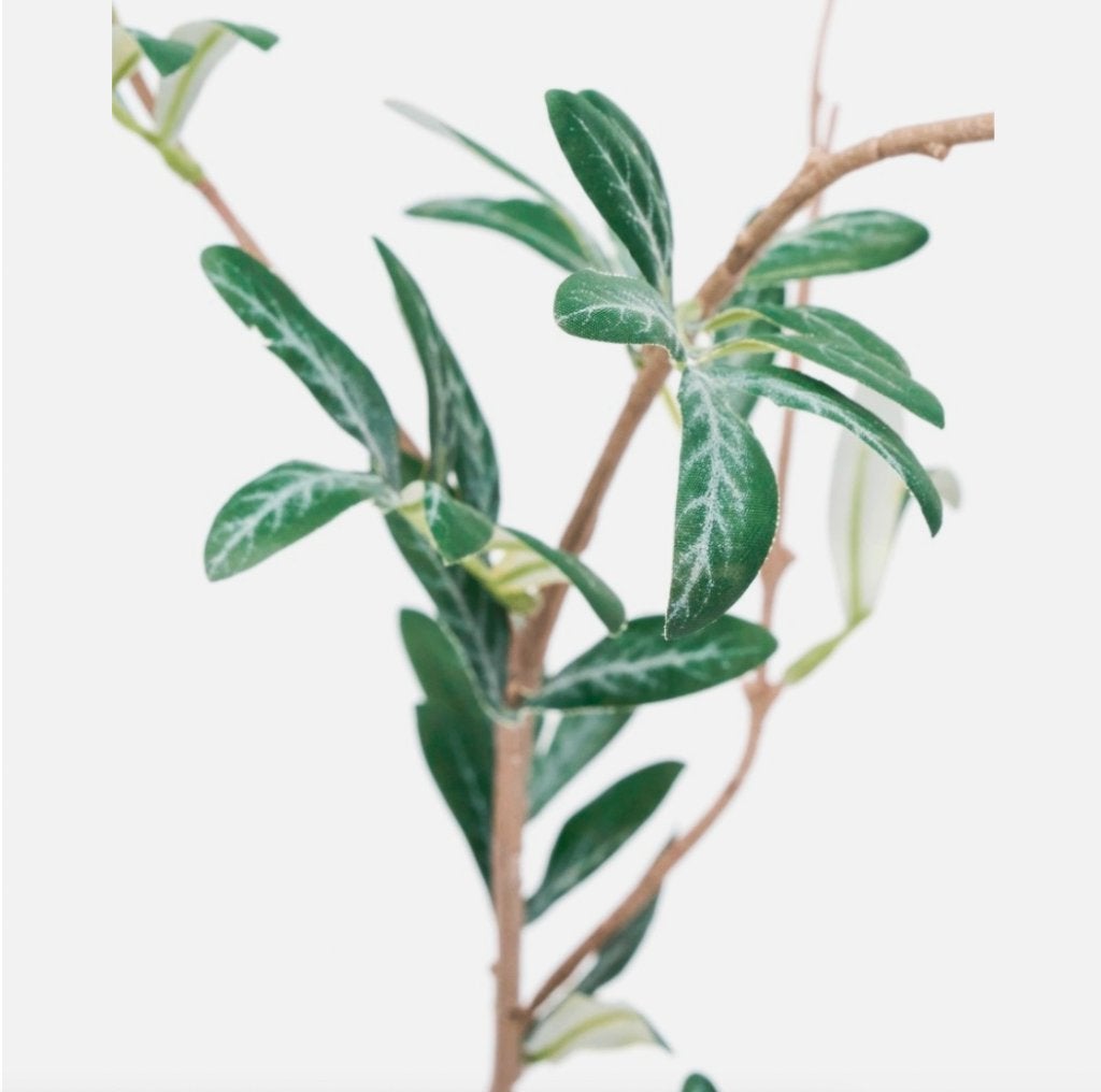 House Doctor HDOlive Olijftak Kunstplant Kunsttak – Groen, Huis en Inrichting, Woonaccessoires | Kunstplanten en Kunstbloemen
