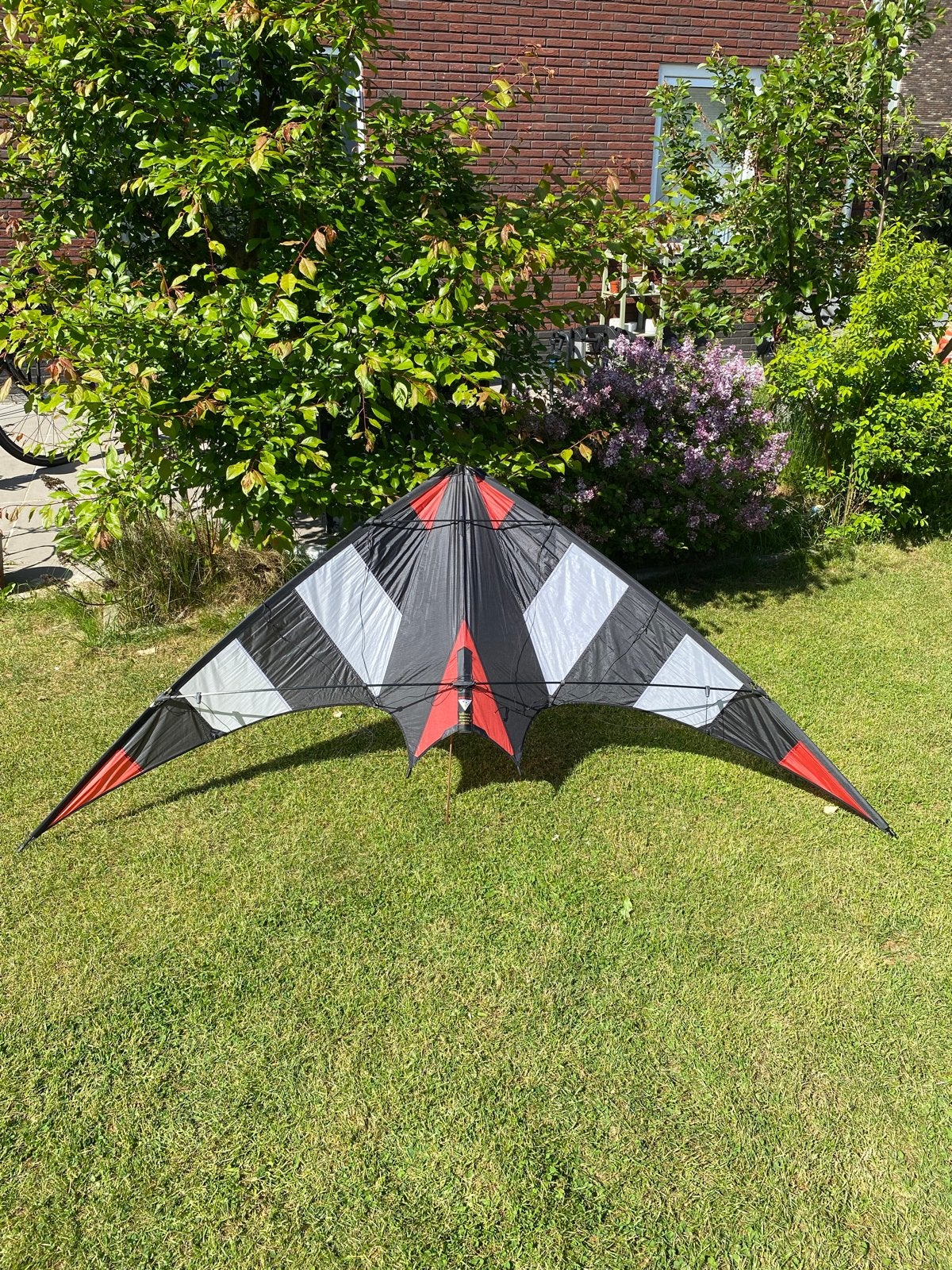 Space Kites Custom Made Stuntvlieger, Ophalen of Verzenden, Zo goed als nieuw, Tweelijns, Vlieger