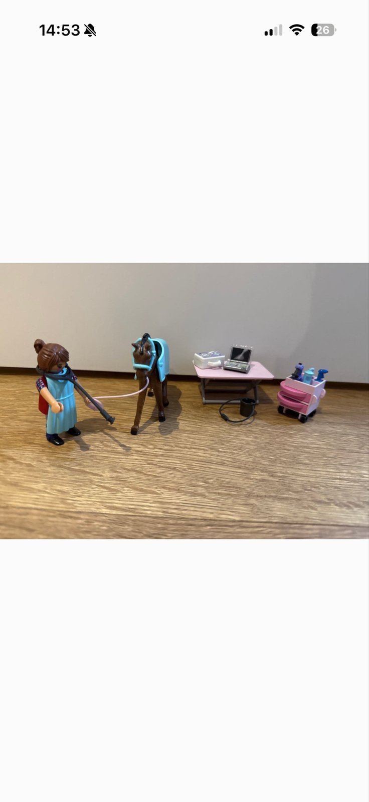 Playmobil Dierenarts met Paard en Accessoires, Gebruikt, Complete set, Ophalen of Verzenden, Country