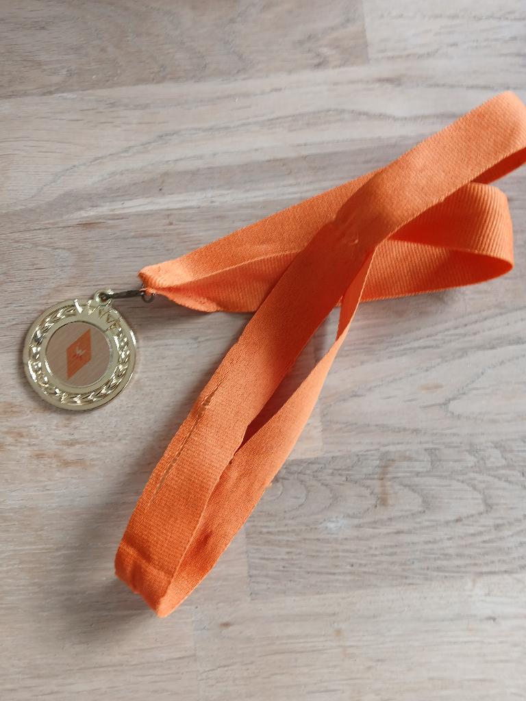 Kroning Willem-Alexander medaille koningshuis oranje 2013, Ophalen of Verzenden, Gebruikt, Nederland, Speld(je) of Lepel(tje)