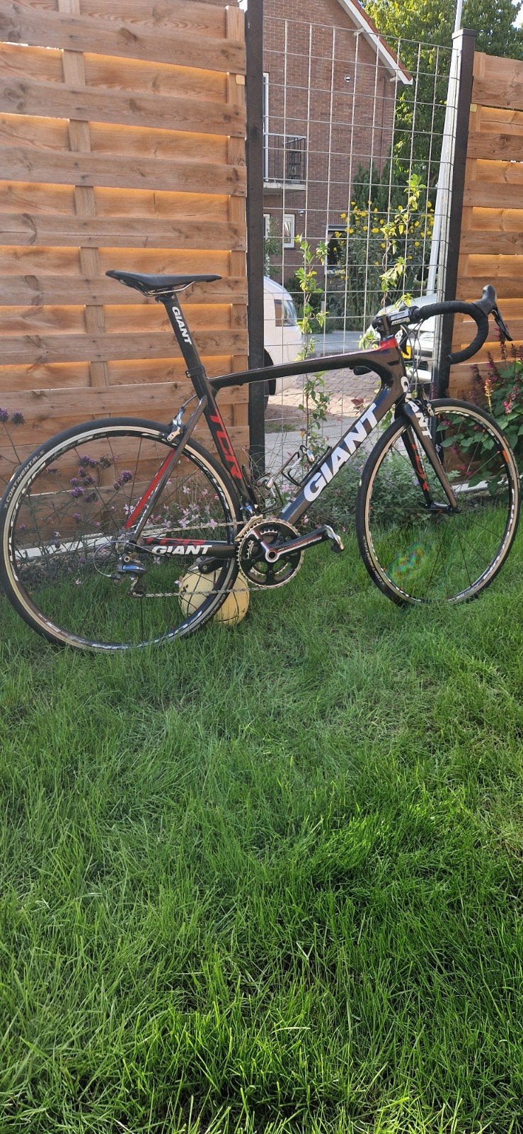 Giant TCR Advanced racefiets, maat L- Dura-Ace - Carbon, Fietsen en Brommers, Ophalen, 28 inch, Carbon, Giant