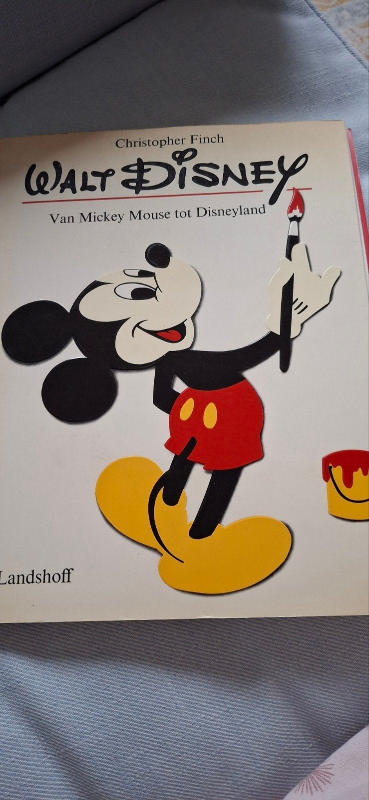 Walt Disney, Ophalen of Verzenden, Gelezen