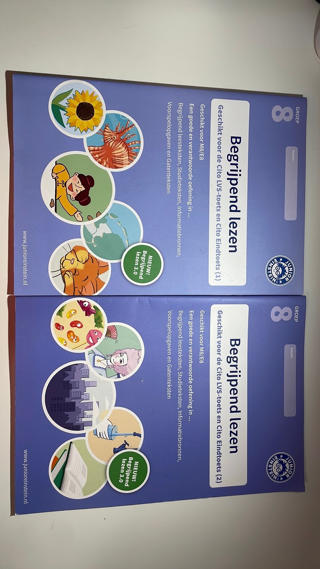 Begrijpend lezen groep 8 deel: 1 & 2, Boeken, Schoolboeken, Ophalen of Verzenden, Gelezen, Overige niveaus, Nederlands
