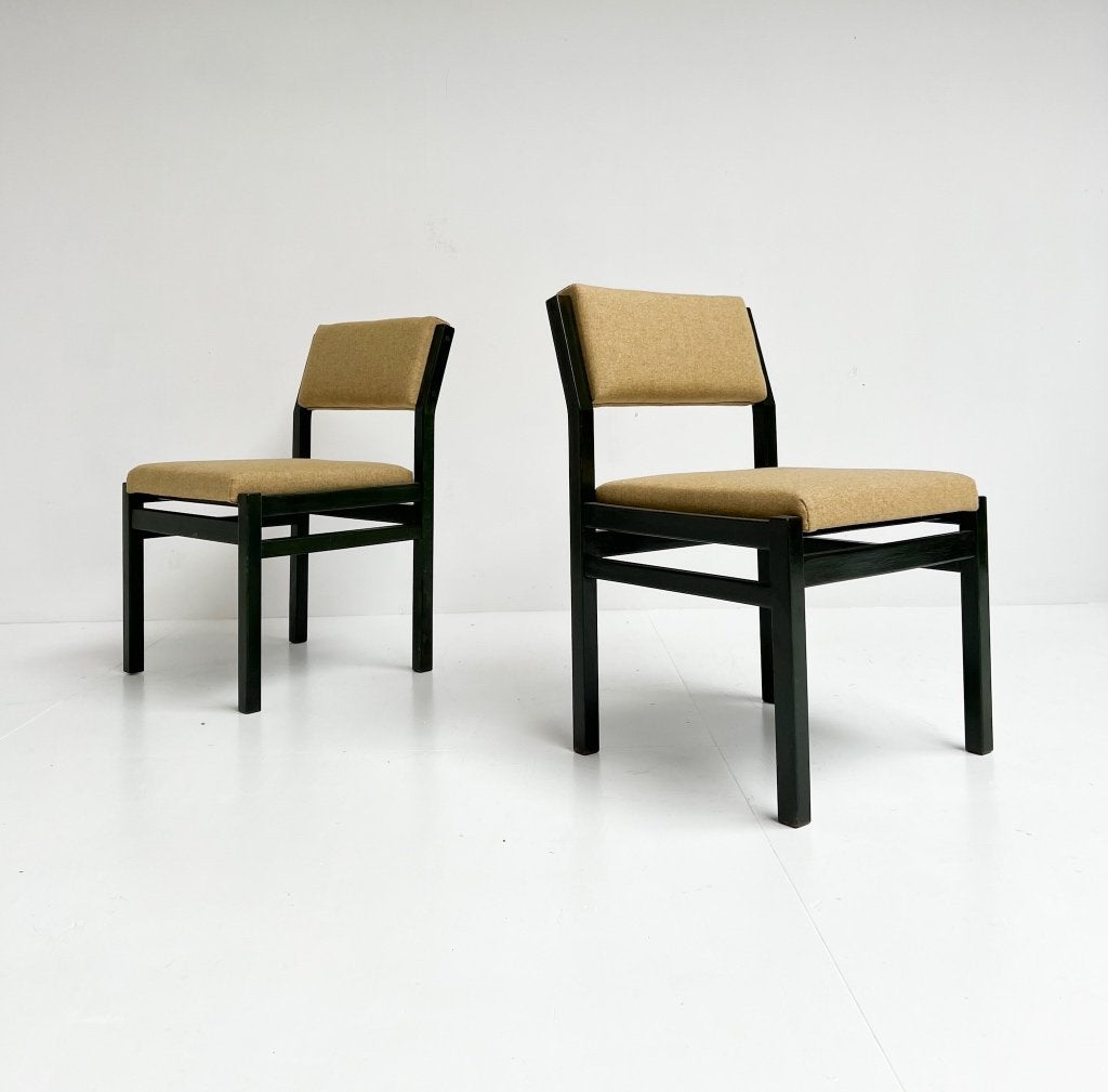 Set SA07 Pastoe stoelen (2) van Cees Braakman, 1960's, Twee, Overige kleuren, Design, Ophalen of Verzenden