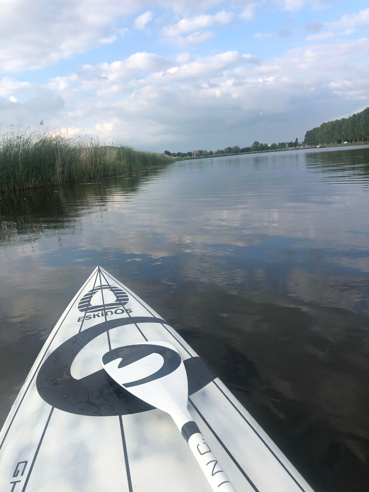 Aqua Inc. SUP Eskimos (inflatable sup inruilen is mogelijk, Ophalen of Verzenden, Gebruikt, SUP-boards