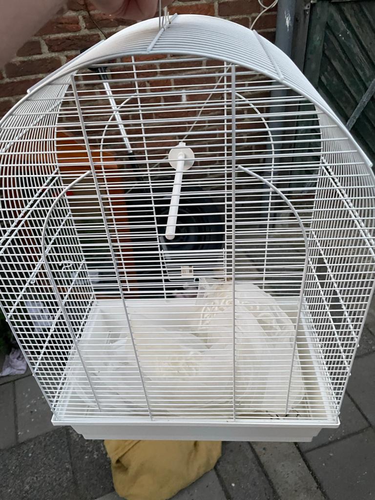 Vogel kooi voor parkieten of dwergpapagaaien, Dieren en Toebehoren, Vogels | Hokken en Kooien, Ophalen of Verzenden, Zo goed als nieuw