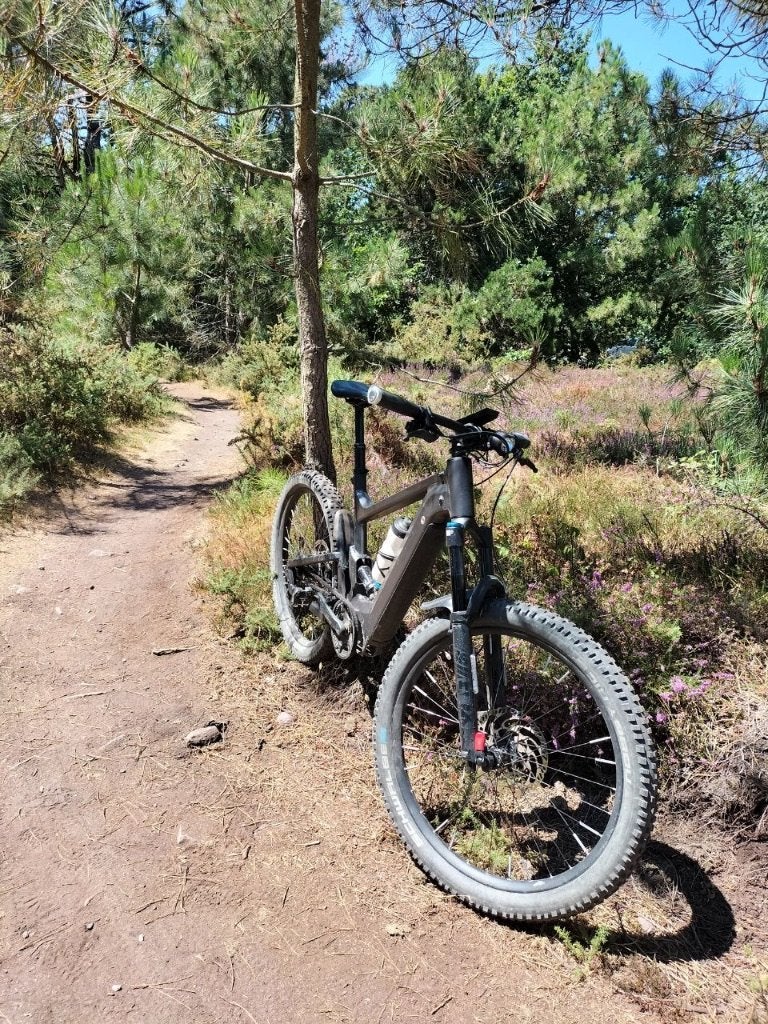 Riese & Müller - Delite mountain rohloff - maat L/51 cm, Gebruikt, 51 tot 55 cm, 50 km per accu of meer, Ophalen