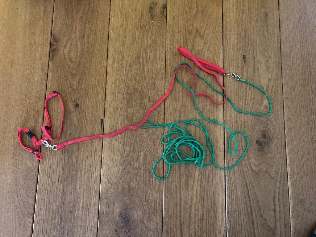 Dieren tuigje voor  katten, Dieren en Toebehoren, Katten-accessoires, Ophalen, Zo goed als nieuw