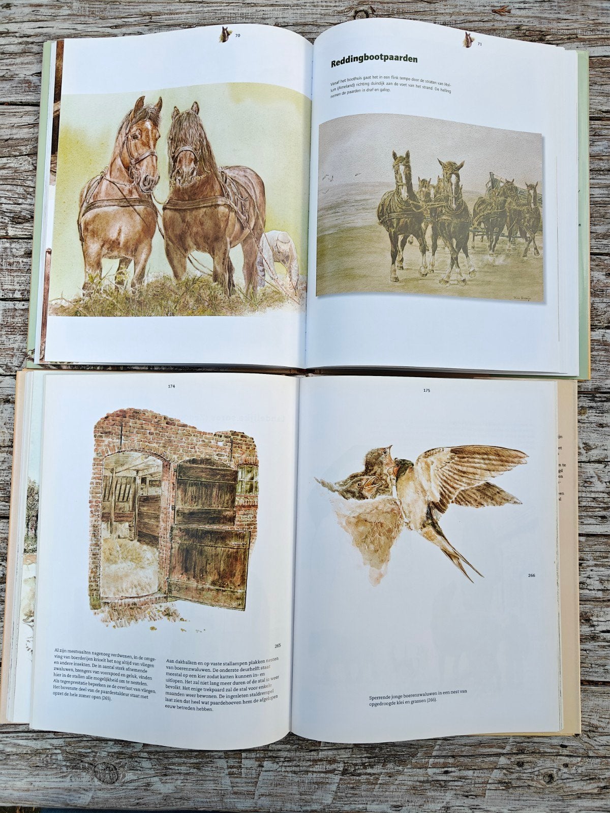2 Grote prentenboeken van Wim Romijn., Boeken, Ophalen of Verzenden, Zo goed als nieuw