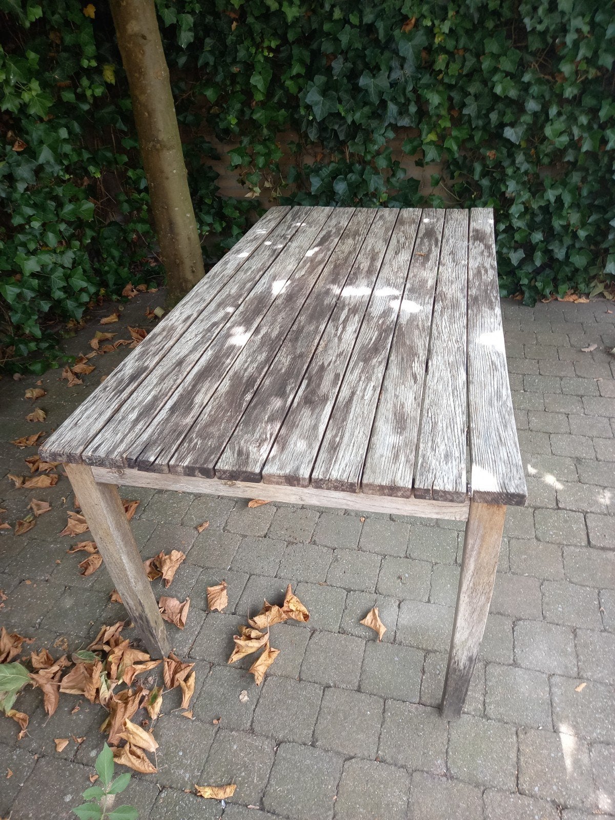 Tuintafel ... oud, maar wel teak. Gratis ophalen., Ophalen, Rechthoekig, Teakhout