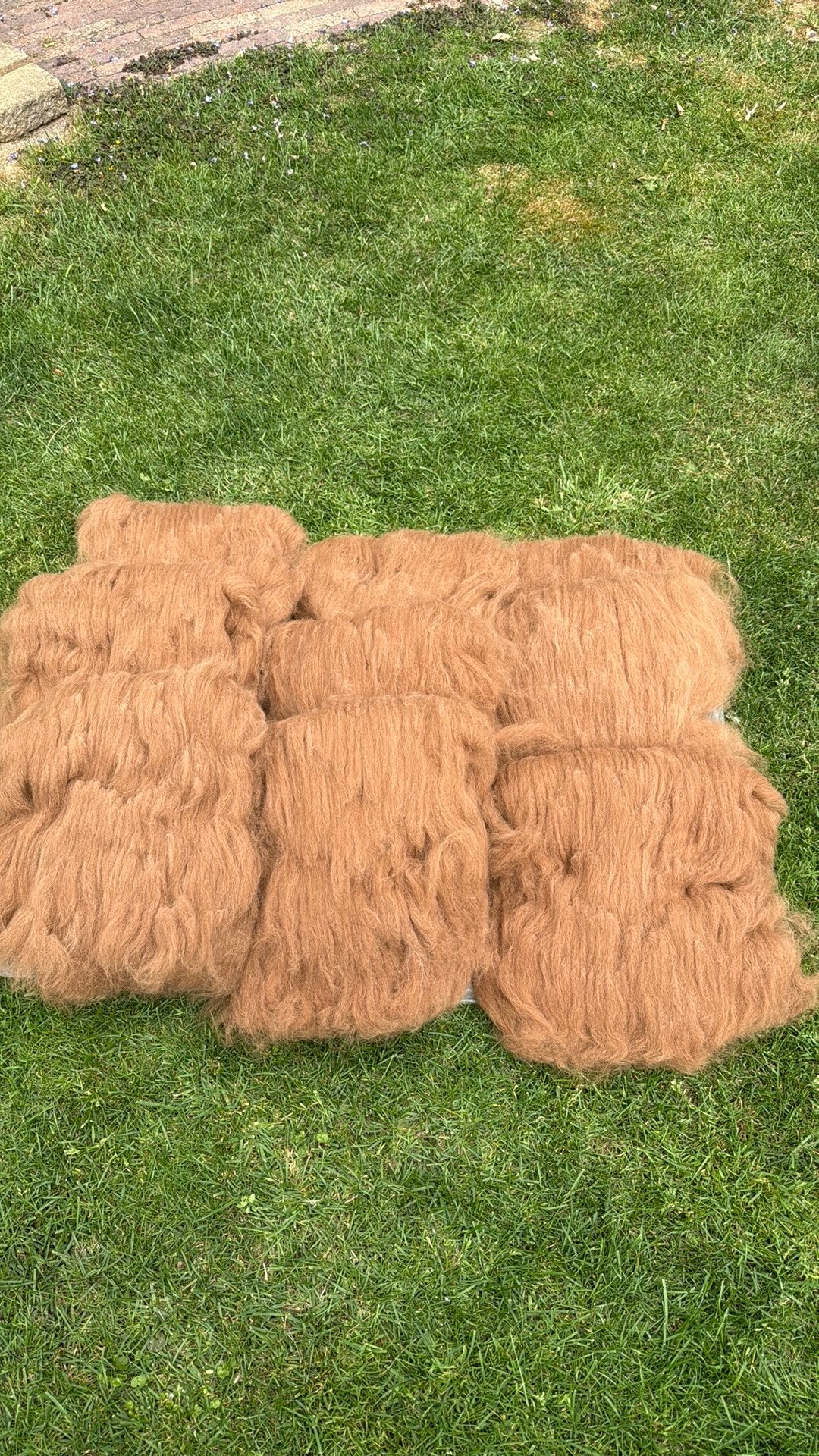 Gekaarde alpaca wol lichtbruin voor spinnen of vilten, Hobby en Vrije tijd, Spinnewielen en Spinnen, Ophalen of Verzenden, Nieuw