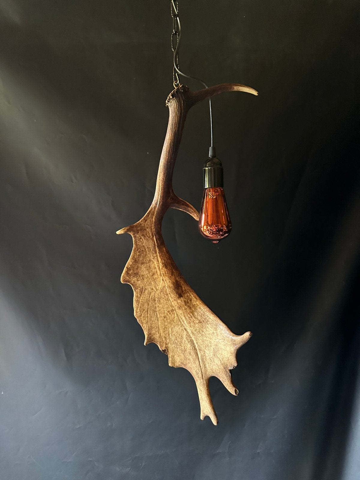 Geweienlamp.lamp.hanglamp.geweien.edelhert.damhert.brocante, Ophalen of Verzenden, Nieuw, 50 tot 75 cm