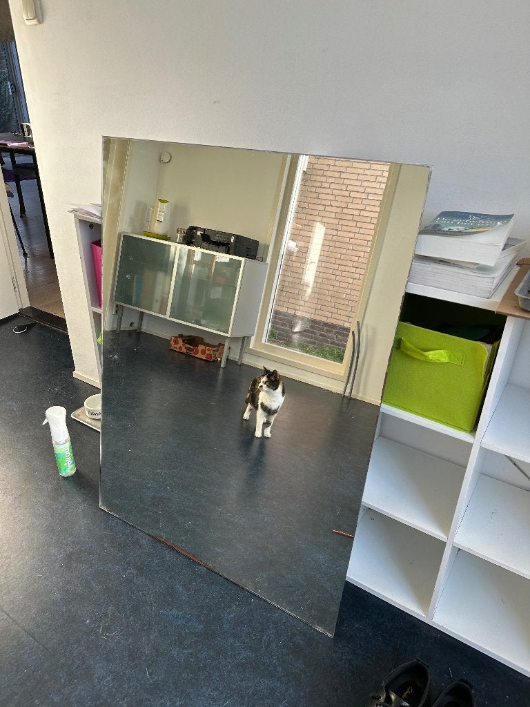 badkamerspiegel, Huis en Inrichting, Ophalen, Gebruikt