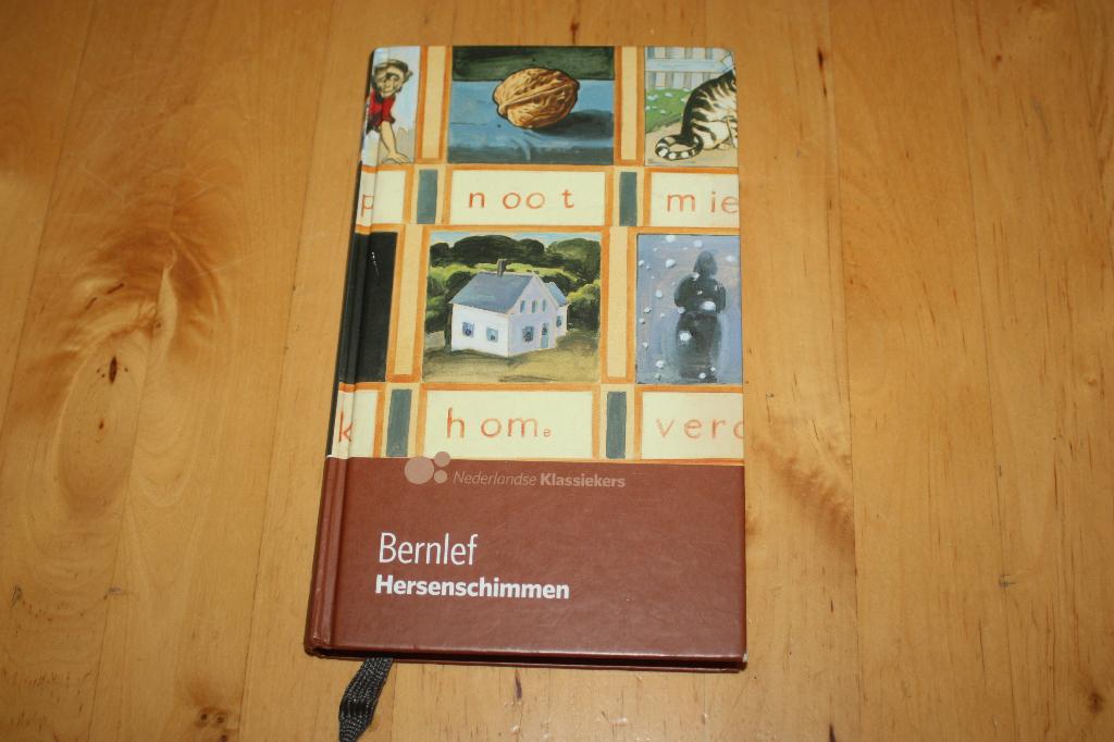 Hersenschimmen, Bernlef, Nederlandse klassiekers AD, Boeken, Ophalen of Verzenden, Gelezen, Bernlef, Nederland