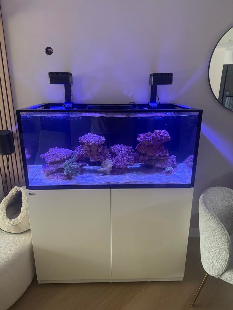 Red sea 425 g3, Ophalen of Verzenden, Zo goed als nieuw, Leeg aquarium