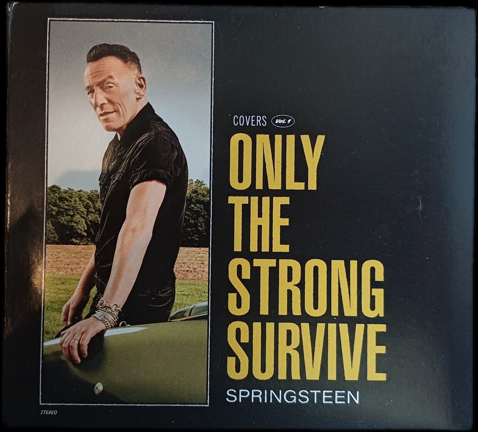 Bruce Springsteen - Only The Strong Survive (CD), Gebruikt, Pop, Ophalen of Verzenden, Extra's