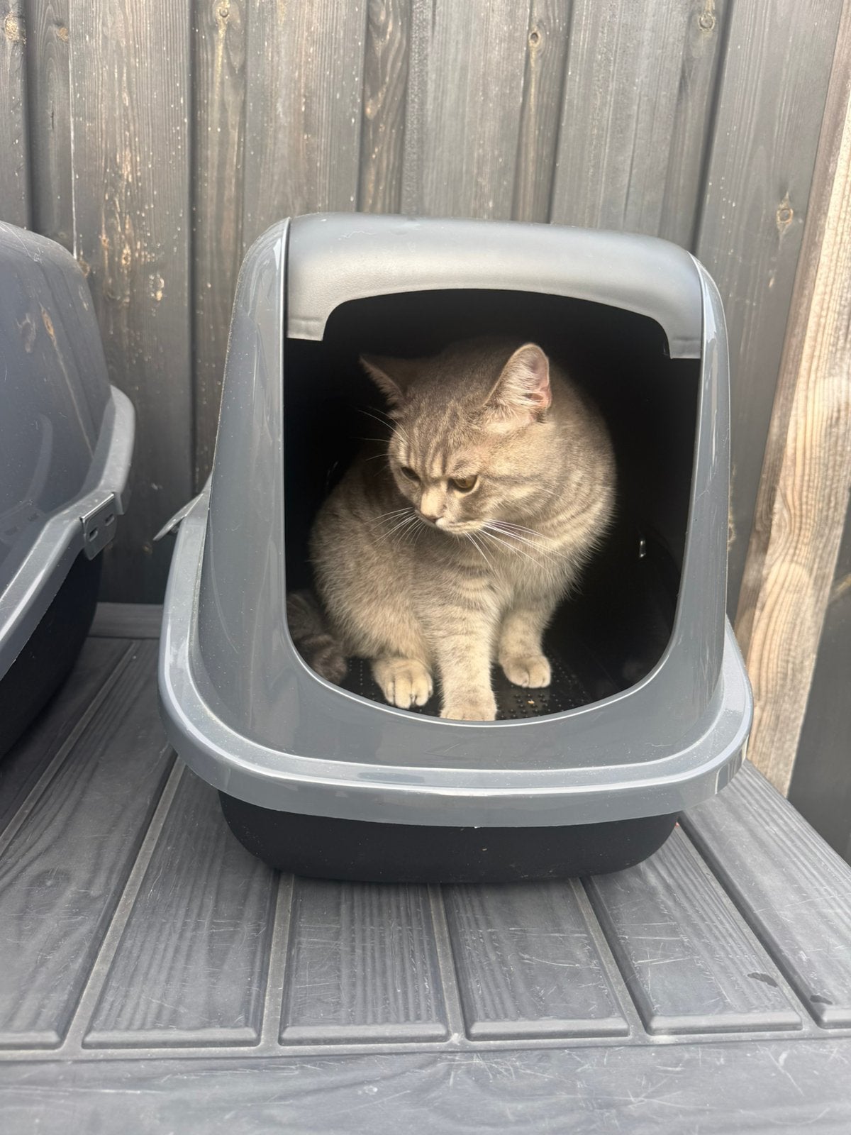 Peewee kattenbak zonder klep, Dieren en Toebehoren, Ophalen, Gebruikt, Gesloten