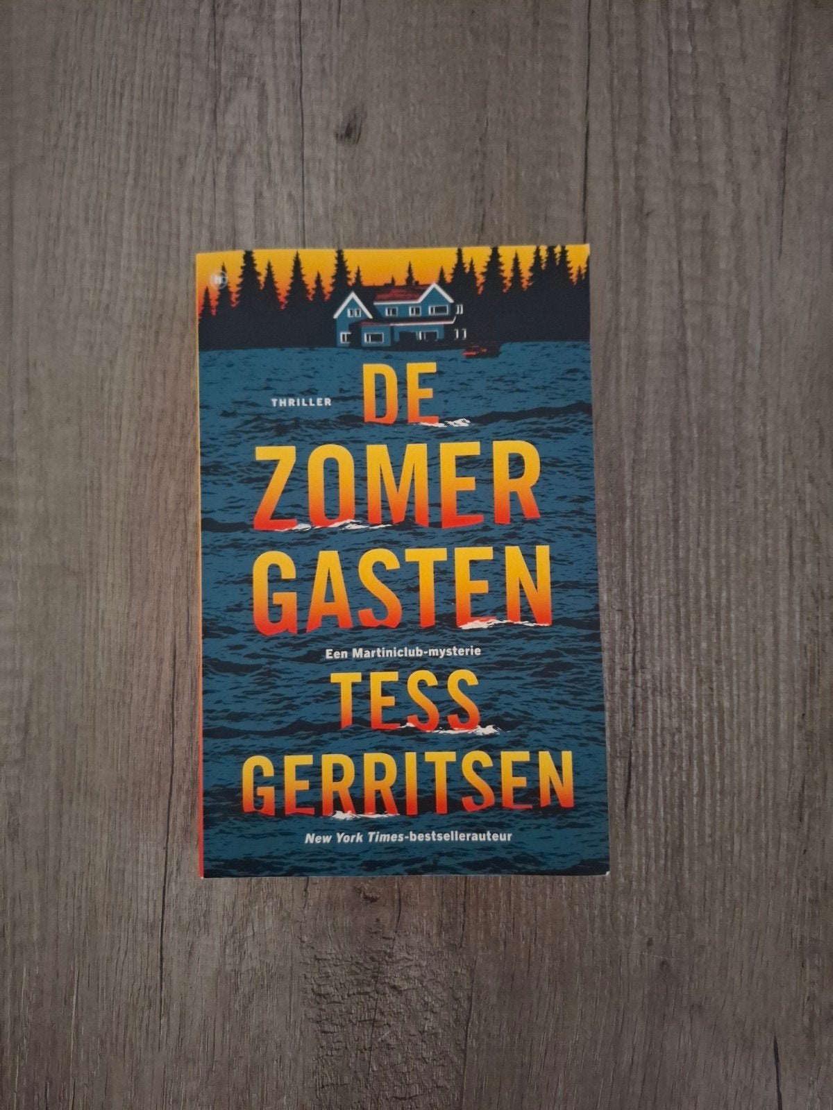 Tess Gerritsen - De zomergasten, Boeken, Ophalen of Verzenden, Zo goed als nieuw, Tess Gerritsen