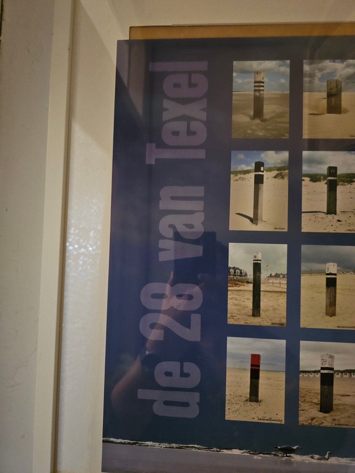 De 28 van Texel - Strandpalen op een poster, Ophalen of Verzenden, Nieuw, Dier of Natuur