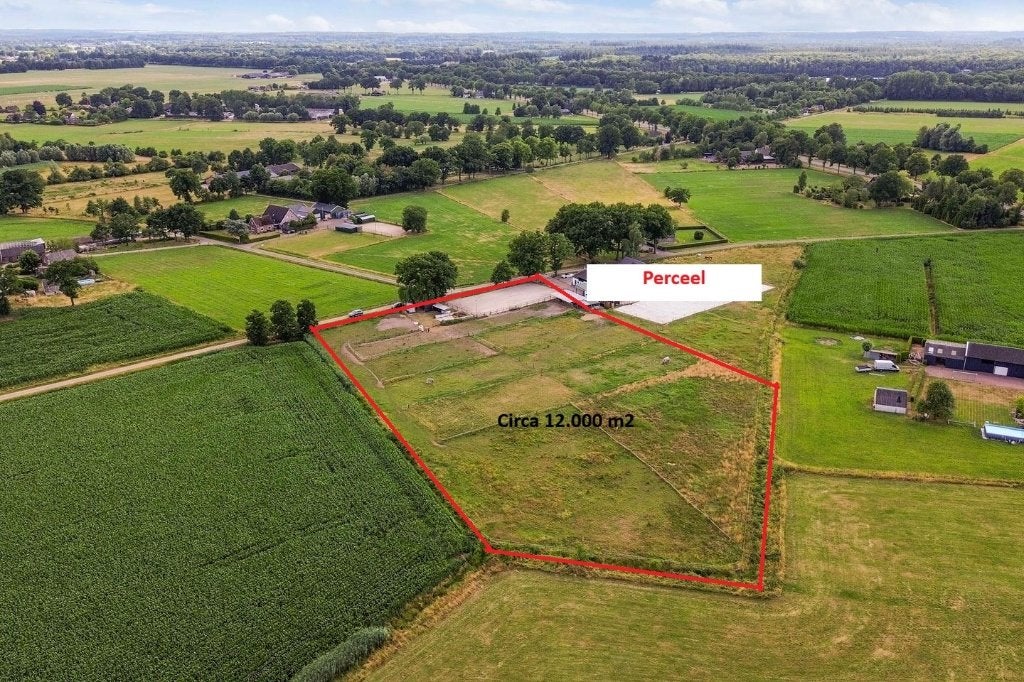 Circa 12000 m2 perceel weidegrond te koop, Weidegang, 4 paarden of pony's of meer