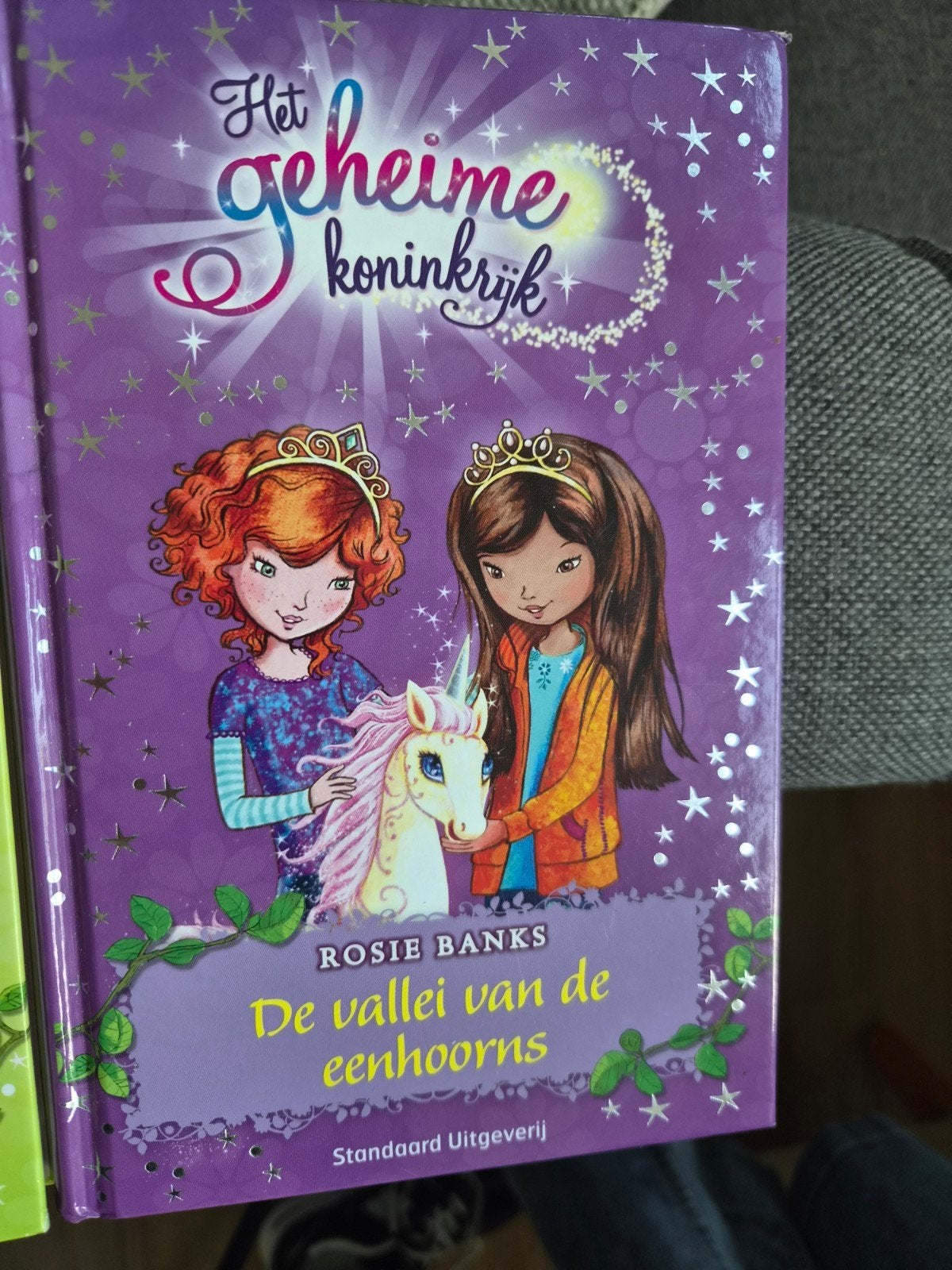 Kinderboeken: Heksje Lilly, Het Geheime Koninkrijk & meer!, Ophalen of Verzenden, Gelezen, Fictie algemeen
