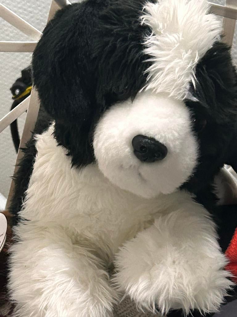 nature babies bordercollie zeer goede staat, Verzenden, Zo goed als nieuw, Overige typen
