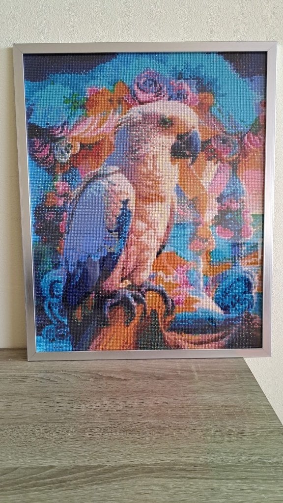 diamond painting, Hobby en Vrije tijd, Ophalen of Verzenden, Nieuw, Knutselwerk