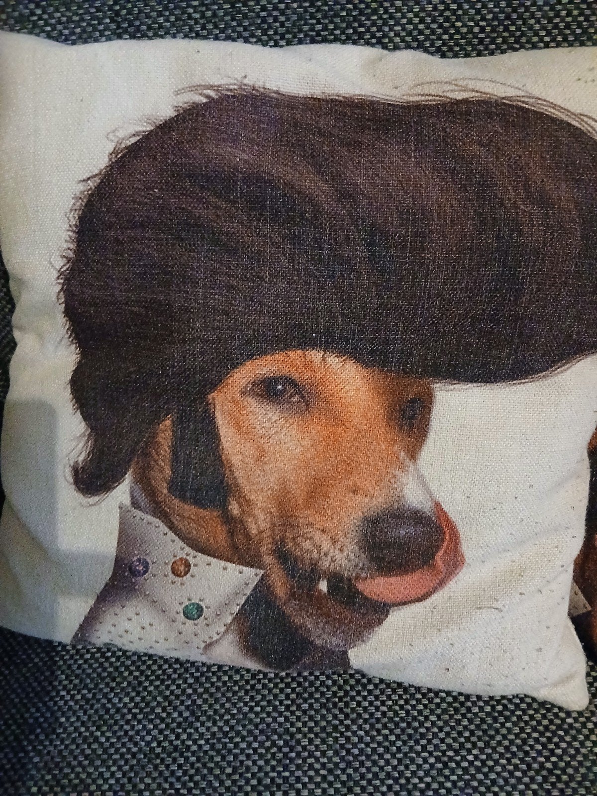 Sierkussen met grappige hond Elvis Presley print, Huis en Inrichting, Overige merken, Gebruikt, Meerkleurig, Met print
