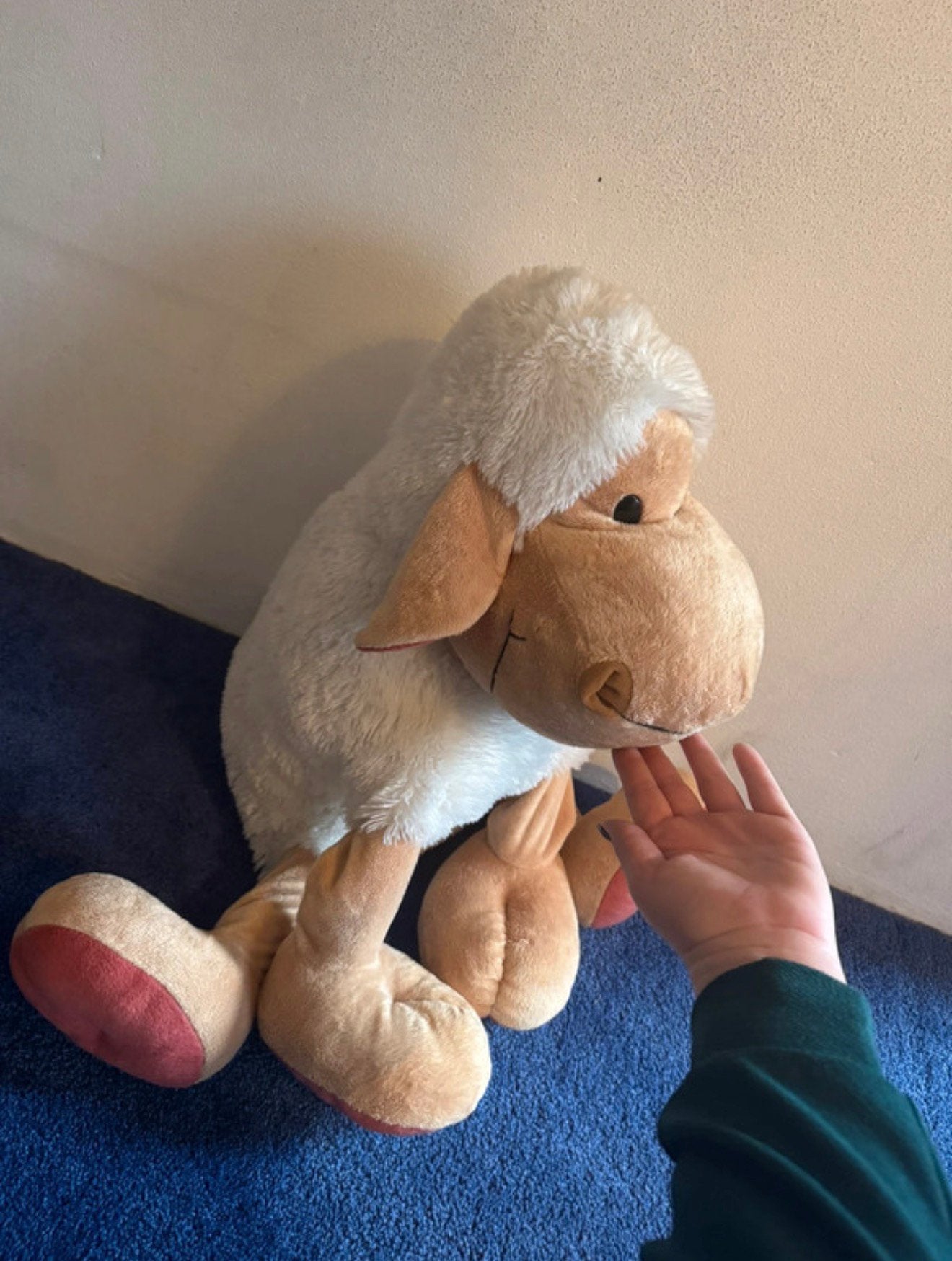 Schaap knuffel, Ophalen of Verzenden, Zo goed als nieuw, Overige typen