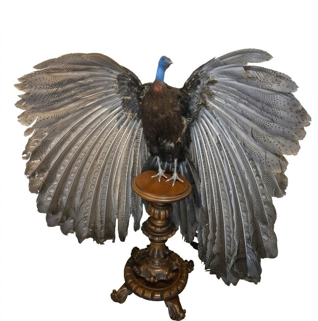 Zeldzame Opgezette Grote Argusfazant op Zuil Taxidermy, Verzamelen, Ophalen, Zo goed als nieuw, Vogel, Opgezet dier
