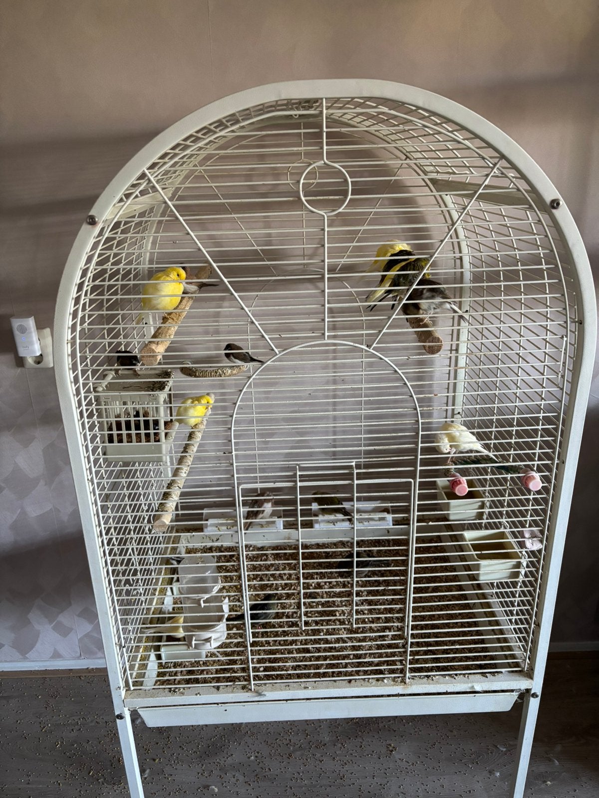 Te koop, Dieren en Toebehoren, Ophalen of Verzenden, Gebruikt, Hout, Vogelkooi