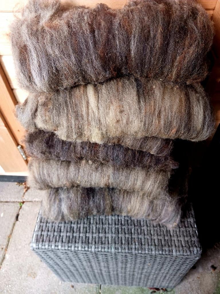 Onbewerkte en gekaarde schapenwol - diverse kleuren, Ophalen of Verzenden, Nieuw