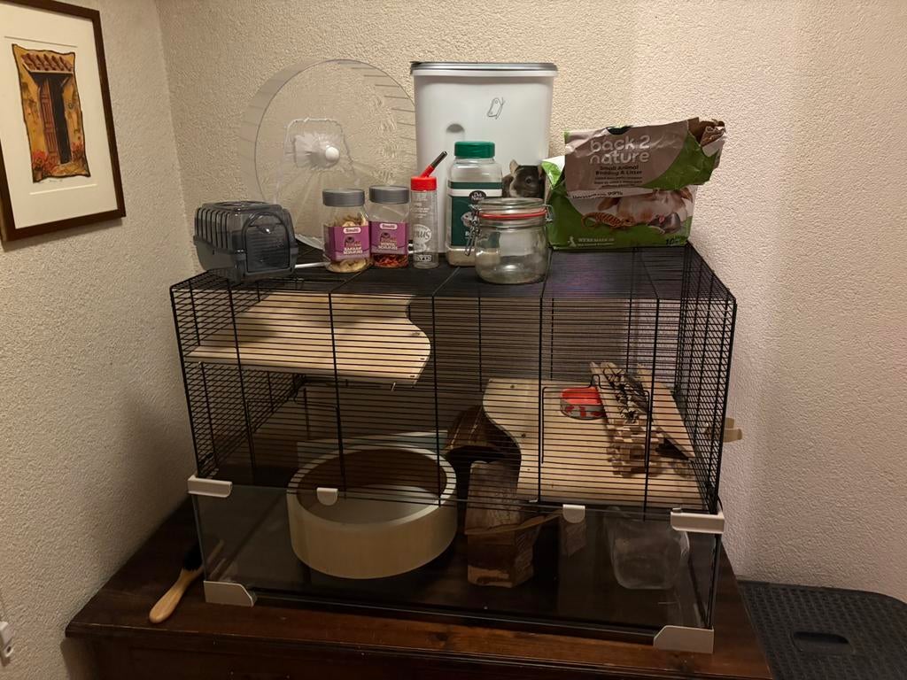 Groot Hamster hok + alle toebehoren, Zo goed als nieuw, Ophalen, Minder dan 60 cm, Hok