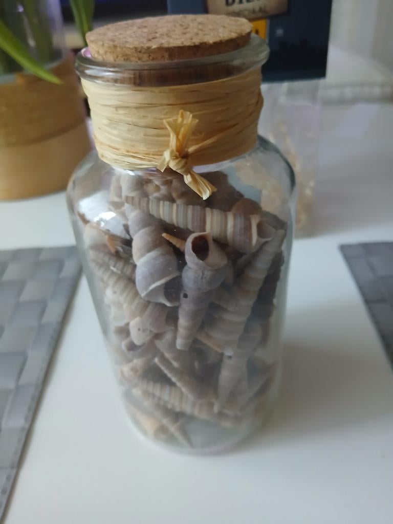 Glazen pot met schelpen, Ophalen of Verzenden, Zo goed als nieuw