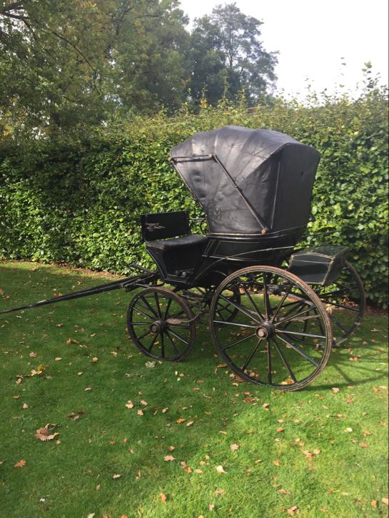 Zwitsers boodschappen wagen, Dieren en Toebehoren, Gebruikt, Pony