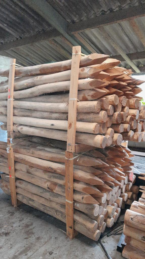 Robiniahouten palen, robinia paal 180cm lang 8-10cm dik, Ophalen, Nieuw, 180 tot 250 cm, Palen