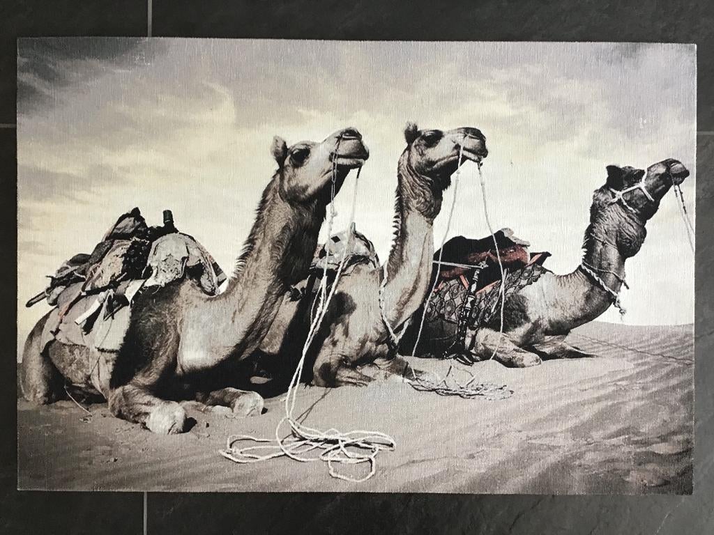Schilderij drie kamelen in de woestijn. Canvasdoek. Nieuw., Huis en Inrichting, Woonaccessoires | Schilderijen, Tekeningen en Foto's